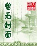 赌石翡翠王