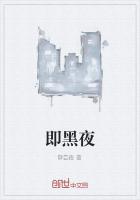 苏安小说