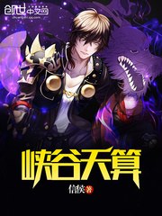 峡谷天算